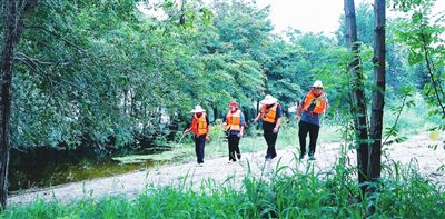 8月4日以来，西青区在子牙河、独流减河大堤上成立66个堤防巡查工作站临时党支部，近千名共产党员24小时轮流上堤，全方位、无死角地巡护。图为日前西青区辛口镇第十五巡堤小组在独流减河堤坝上巡堤。 本报记者 潘立峰 通讯员 袁忠清 摄