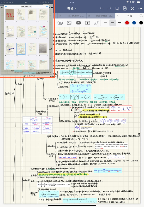 医学院 高小晶。南开大学供图